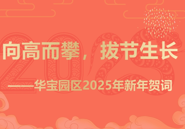 Menjat Tinggi, Pertumbuhan Hari Raya - Pesan Tahun Baru 2025 di Warbao Park